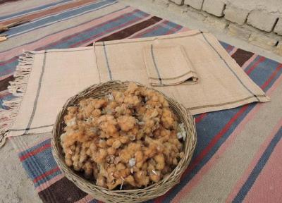 ثبت 8 آیین معنوی دیگر خراسان جنوبی