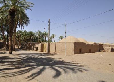 زیرسایه نخلستان 200 ساله در بیابان لوت