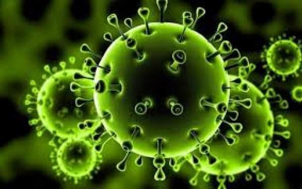 ویروس جدید کرونا به مرور بی خطر می گردد؟
