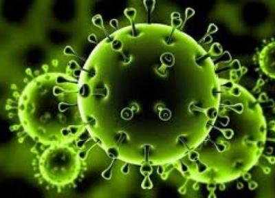ویروس جدید کرونا به مرور بی خطر می گردد؟