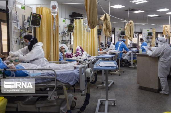 خبرنگاران هیچ بیماری در بیمارستان امام علی (ع) کرج براثر قطع برق فوت نکرده است