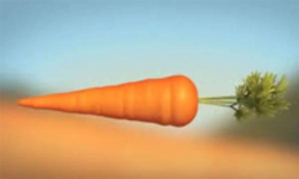مواد مغذی موجود در هویج